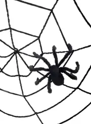 Creepy Black String Spider Web with Spider Halloween Decoration