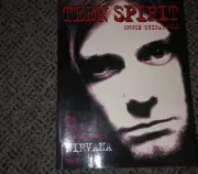 Nirvana: Teen Spirit: The Stories Behind Every Song - Paperback Book (1996)