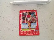 RARE AFL SYDNEY SWANS DANIEL HANNEBERY TEAM CARD, FREE POST NEW FOOTBALL TOYOTA