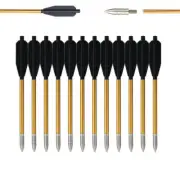 12pcs 6.25-inch short arrow golden color bow and arrow shooting diameter 6.2mm