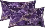 2 Pack King Size Pillow Cases with Zipper, Soft Breathable Pillowcase for Hair and Skin, 20"x36" Pillow Covers for Sleeping Gift Bed Pillow Case Marble Purple Pillowcases