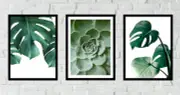[Namly Design] Posters - Cactus and Monstera / Set of 3