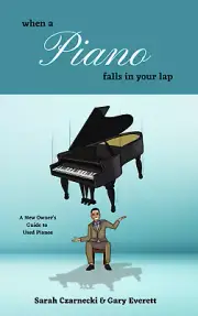 When a Piano Falls in Your Lap - Paperback | by Sarah Czarnecki and Gary Everett