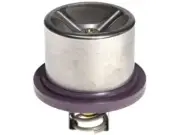 Thermostat For 08-10 Porsche Cayenne 4.8L V8 4801 4851 PG34K8 (for: Porsche)