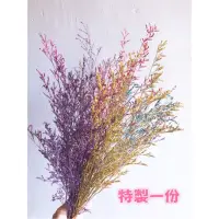 在飛比找蝦皮購物優惠-乾燥花🌸🌸卡斯比亞 居家裝飾 裝飾 擺飾