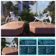 ARK ASCENDED PVE OFFICIAL PAIR BABY MANTIS ALBINO #36 HIGH STATUS PS5/PC/XBOX