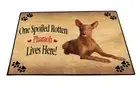 Pharaoh Hound Dog Floor Mat Anti-Slip Pet Door Mat Indoor Outdoor Front Rug