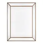 Cafe Lighting & Living Zeta Wall Mirror (Antique Gold) - Large