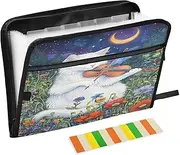 Violin Cat Moon Accordian Folders 13 Pocket Documents Organizer Folio, Paper Folders with Pockets