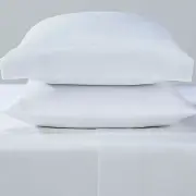 White 300TC Sateen Standard Pillow Case - Set of 2 - Levtex Home
