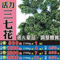 在飛比找樂天市場購物網優惠-M135【活力▪三七花】✔退火▪營養補給║相關產品：小茴香 