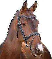 Velociti Lusso Raised Flash Leather Horse Flash Bridle (UK Size: Pony) (Black)