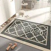 Indoor Doormat Non Slip Absorbent Resist Dirt Entrance Rug 19.7" x 31.5" Machine Washable Floor Door Mat for Farmhouse/Porch Decor (Deep Gray)