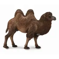 在飛比找蝦皮商城優惠-COLLECTA動物模型 - 雙峰駱駝 < JOYBUS >