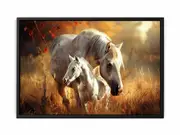 Horse Cute Baby Framed Print Fine Art Poster Print