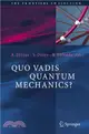 Quo Vadis Quantum Mechanics? ― Developments Of Quantum Mechanics In The 21st Century