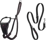 Halti No Pull Harness and Training Lead Combination Pack, Stop Dog Large