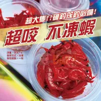 在飛比找蝦皮購物優惠-✩叭噗釣具✩ 優惠【GC不凍蝦】超咬 冷凍餌 甘油南極蝦 黑