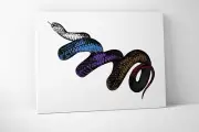 Snake Belts Canvas - Wall Art Brazilian BJJ - Jiu Jitsu (18 X 24 Inches)