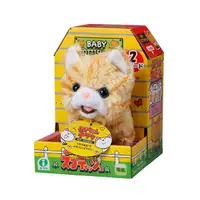 在飛比找蝦皮購物優惠-日本IWAYA甜甜屋-蘇格蘭摺耳貓~日本暢銷電子寵物【嬰之房