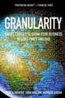 Granularity: Smart Choices to Grow Your Business in Good Times and Bad by Baghai
