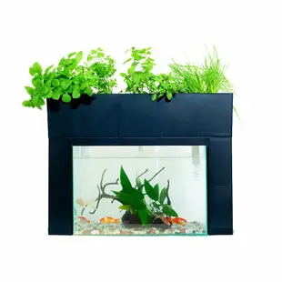 日本製 AQUAPONICS 魚菜共生機 水耕栽培 養耕共生 種菜機 適用45cm魚缸 水族箱家用種菜機 親子同樂 室內盆栽 療癒小物 禮物 日本必買代購