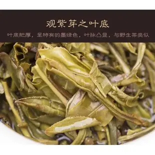 普洱茶生茶 [彩程] 2015年  紫芽 頭春茶 100g 小餅