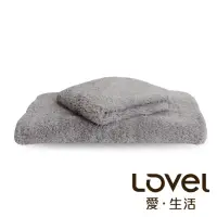 在飛比找momo購物網優惠-【Lovel】7倍強效吸水抗菌超細纖維毛巾/方巾2件組(共9