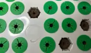 Flexible Aerogarden Seed Starter Tray Sponge Covers Keep Algae Down Reusable Grn