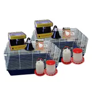 Urs Chicken Starter Home Rearing Young Chickens Kit