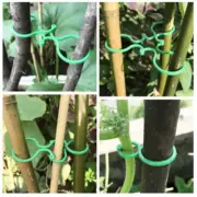50PCS Tomato Greenhouse Ties Veggie Plant Support Clips Garden trellis Stake