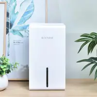 在飛比找Yahoo奇摩購物中心優惠-【ROOMMI】MiniDry 極美高效除濕機