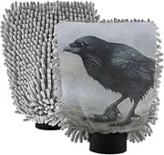 XYMZR Raven Gothic Black Absorbent Microfiber Car Wash Mitt, Funny Cute Anime Scratch Free for Cars Cleaning, Home Cleaning Mitts, 2 Pack, 10.24” L x 7.09” W