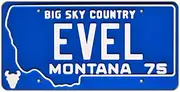 Evel Knievel | EVEL | Metal Stamped License Plate