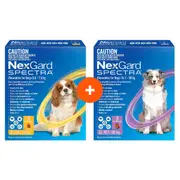 NexGard Spectra Chews For Small & Large Dogs Bundle Bundle