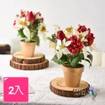 【MERIC GARDEN】高仿真台灣手工限定閃亮聖誕紅小盆栽_2入一組(聖誕節 聖誕佈置 聖誕紅 節慶擺飾)