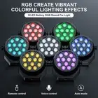 10W*12LED Rechargeable Par Light DJ Disco Party RGB Strobe Sound Stage Light