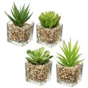 Set of 4 Succulents Plants Artificial in Clear Glass Pots Small Succulents #03