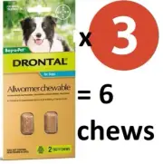 Drontal All Wormer Chews For Medium Dogs - 10 kgs -6 Chews EXP 02/2024