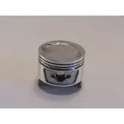 Austral Piston Set - PO100 040