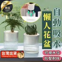 在飛比找PChome24h購物優惠-【自動澆水-大款】懶人花盆 吸水花盆 透明花盆 水培花盆 懶