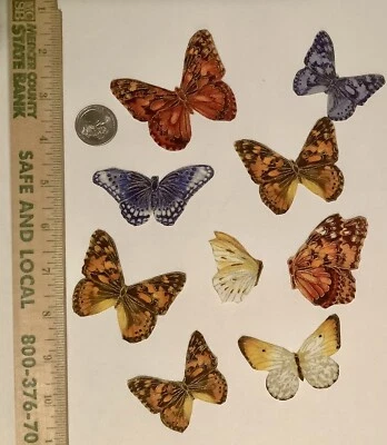 Magnificent Monarch Butterfly Appliques Magnolia Pearl DIY Shabby Chic Medium