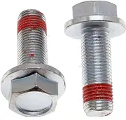 ACDelco 18K17017 Professional Front Disc Brake Caliper Anchor Plate Bolts (Pack of 2)