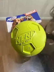 Nerf Dog -C Squeak Rubber Ball Dog Toy, Single, /Large, Green