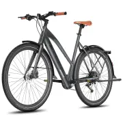 [UK Direct] FAFREES F700 W Electric Bike 36V 10AH Battery 250W Motor 700C Tires Torque Sensor 100KM Max Mileage 150KG Ma