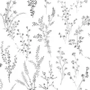 Wallpaper Wildflower Sprigs Botanical Black Gray on White, 56 sq ft / bolt