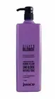 Juuce Silver Blonde Intense Toning Shampoo 1000ml