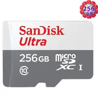 在飛比找樂天市場購物網優惠-SanDisk 256GB 256G microSDXC【1