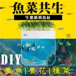 【台灣出貨】魚菜共生魚缸 魚缸 懶人魚缸 魚菜共生 水耕盆栽 壓克力魚缸 免換水魚缸 桌面魚缸