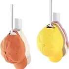 Creative Cap Hat Storage Holder Stainless Steel Hat Holder